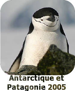 novembre 2005 : en Antarctique et Patagonie chilienne