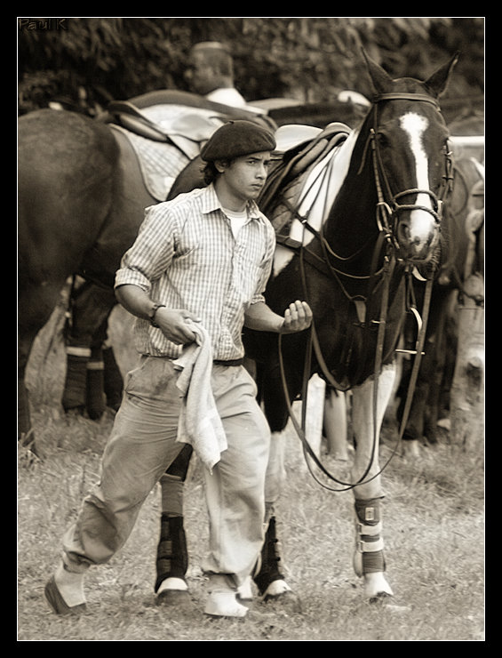 Encore des chevaux : tournoi de polo au Chef-du-Bois à La Forêt-Fouesnant Image60